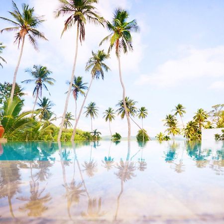 The Flame Tree Estate & Hotel 캔디 외부 사진
