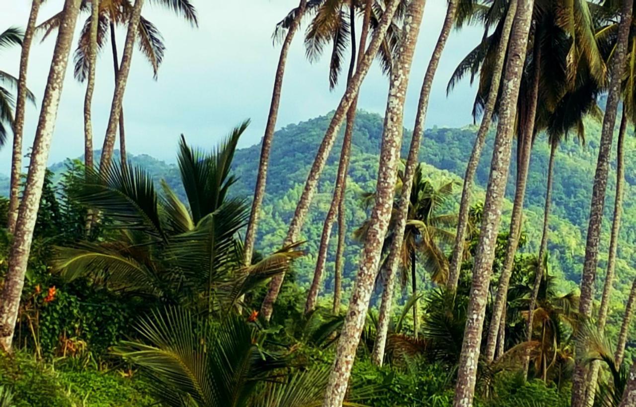 The Flame Tree Estate & Hotel 캔디 외부 사진