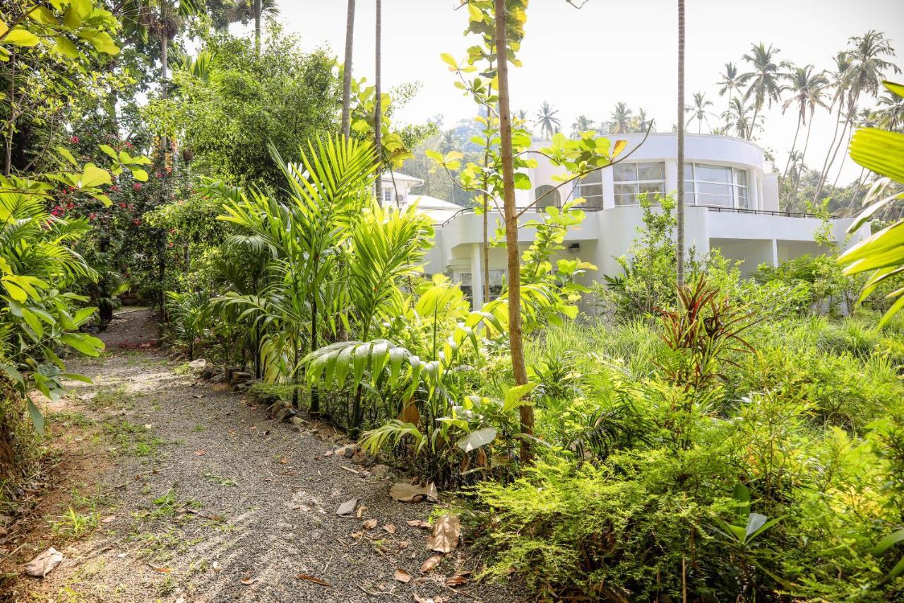 The Flame Tree Estate & Hotel 캔디 외부 사진