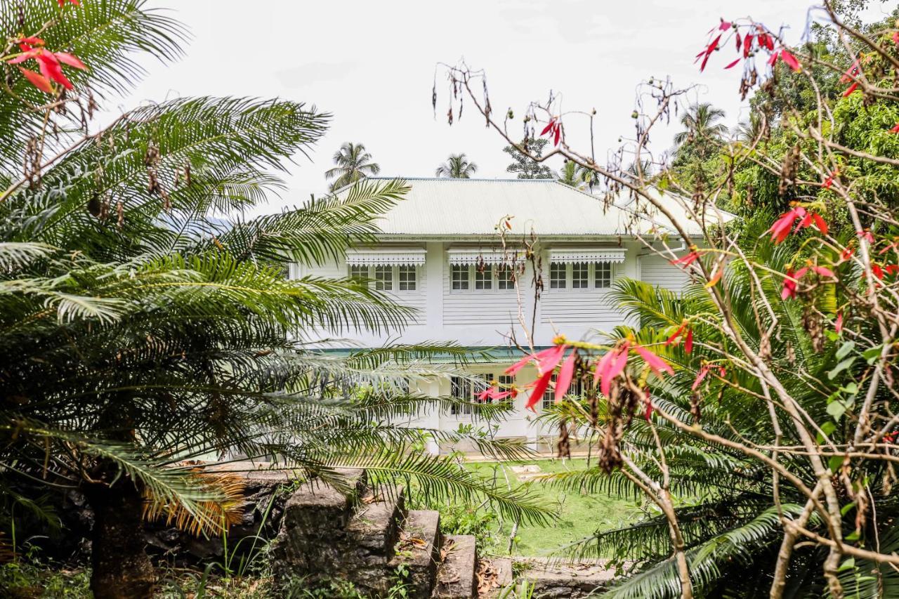 The Flame Tree Estate & Hotel 캔디 외부 사진